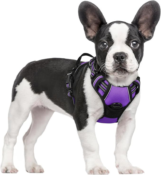 rabbitgoo Dog Harness No Pull with 2 Leash Clips, Adjustable Soft Padded, Reflective Oxford No Choke Pet Vest with Easy Control Handle for Small Dogs, Purple, S rabbitgoo
