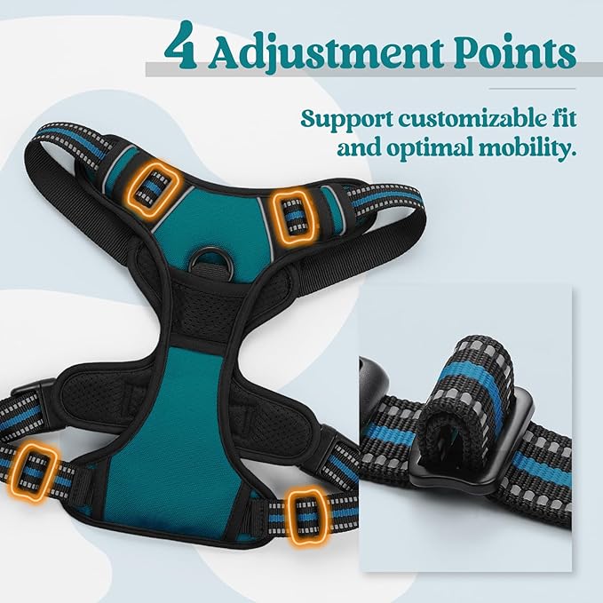 rabbitgoo Dog Harness No Pull with 2 Leash Clips, Adjustable Soft Padded, Reflective Oxford No Choke Pet Vest with Easy Control Handle for Large Dogs, Blue Coral, L rabbitgoo