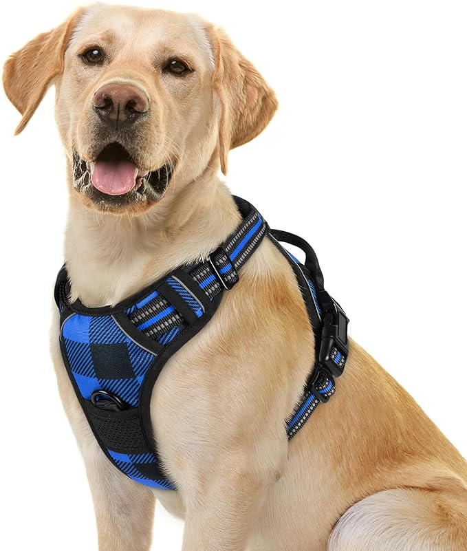 rabbitgoo Dog Harness No Pull with 2 Leash Clips, Adjustable Soft Padded, Reflective Oxford No Choke Pet Vest with Easy Control Handle for Large Dogs, Blue Plaid, L rabbitgoo
