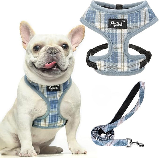 PUPTECK Soft Mesh Dog Harness and Leash Set Pet Puppy Cat Comfort Padded Vest No Pull Harnesses, Sky Blue, L PUPTECK
