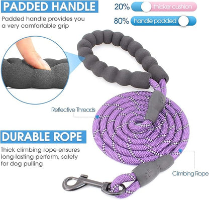 BAAPET 2/4/5/6 FT Dog Leash with Comfortable Padded Handle and Highly Reflective Threads for Small Medium and Large Dogs (5FT-1/3'', Purple) BAAPET