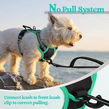 rabbitgoo Dog Harness No Pull with 2 Leash Clips, Adjustable Soft Padded, Reflective Oxford No Choke Pet Vest with Easy Control Handle for Puppy, Black & Turquoise, XS rabbitgoo