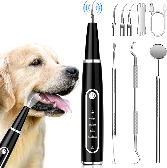 Dog Plaque Remover for Teeth, Dog Teeth Cleaning Kit with LED Light and 5 Modes for Dogs and Cats,Black MIONJO