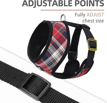 PUPTECK Soft Mesh Dog Harness and Leash Set Pet Puppy Cat Comfort Padded Vest No Pull Harnesses, Red Mixed, S PUPTECK
