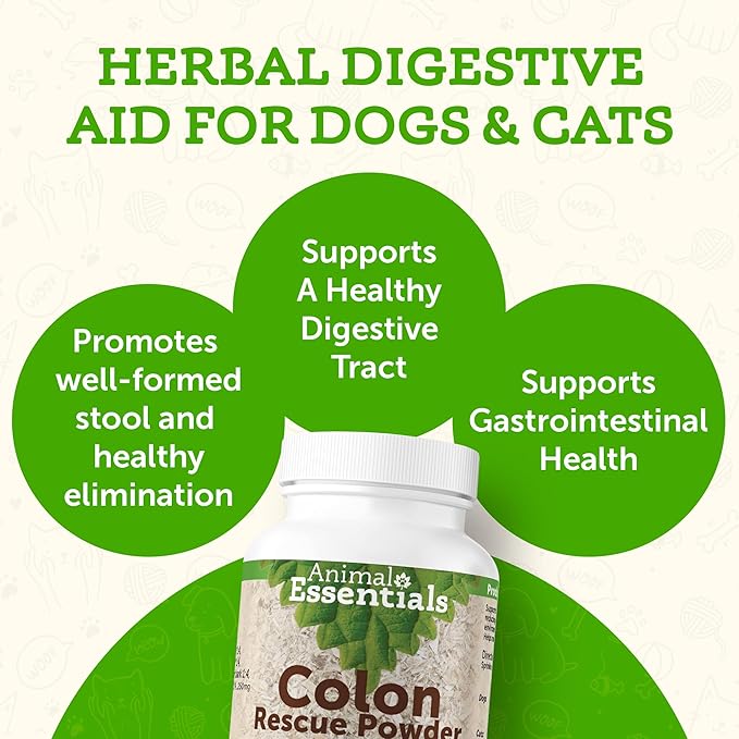 Animal Essentials Colon Rescue Powder - Herbal Digestive Aid for Dogs & Cats, Phytomucil, Healthy Gastrointestinal Tract, Certified Organic Herbs, No Preservatives, Glycerin-Based Formula - 1 Oz AnimalEssentials