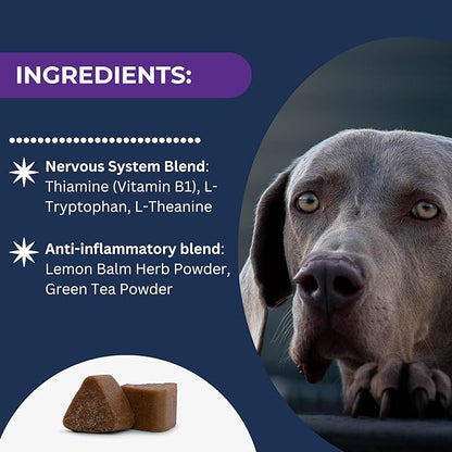 Calm & Relax Soft Chew Supplements for Dogs - Reduce Stress & Anxiety, Behavioral Support, Promote Rest & Relaxation for Active Dogs Dogletics