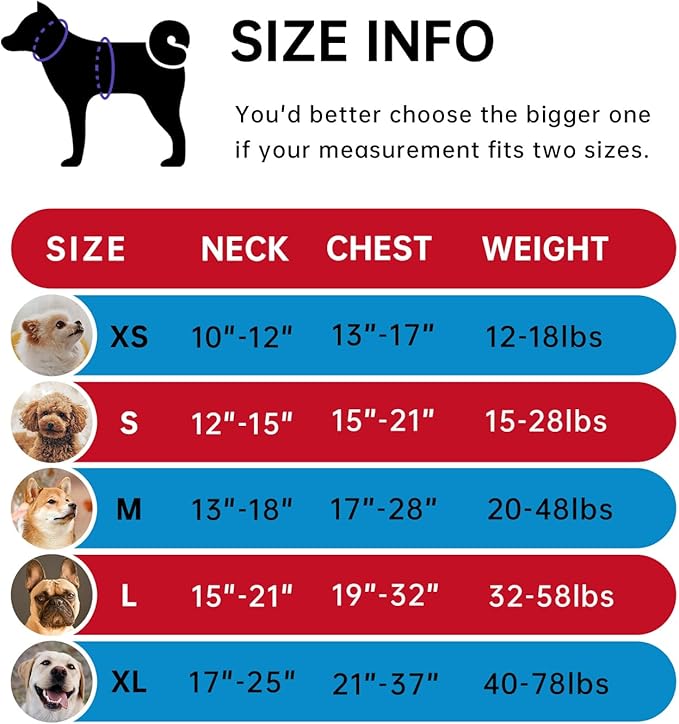 IVY&LANE No Pull Dog Harness for Large Dogs, Dog Vest Harness with Leash, Safety Belt and Storage Strap, Fully Adjustable Harness, 360° Reflective Strip, Soft Handle (Red, XL) IVYLANE