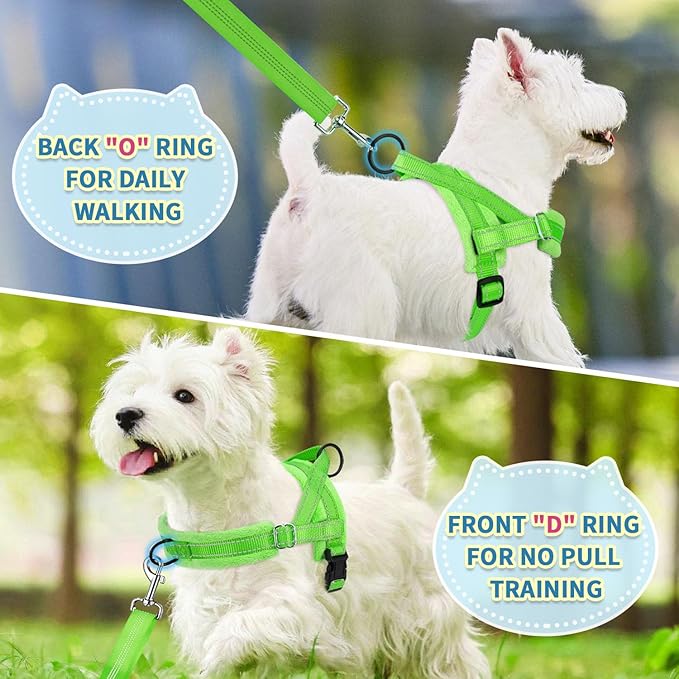 SlowTon No Pull Small Dog Harness and Leash Set, Puppy Soft Vest Harness Neck & Chest Adjustable, Reflective Lightweight Harness & Anti-Twist Pet Lead Combo for Small Medium Dogs (Green-Front Clip,XS) SlowTon