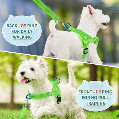 SlowTon No Pull Small Dog Harness and Leash Set, Puppy Soft Vest Harness Neck & Chest Adjustable, Reflective Lightweight Harness & Anti-Twist Pet Lead Combo for Small Medium Dogs (Green-Front Clip,XS) SlowTon