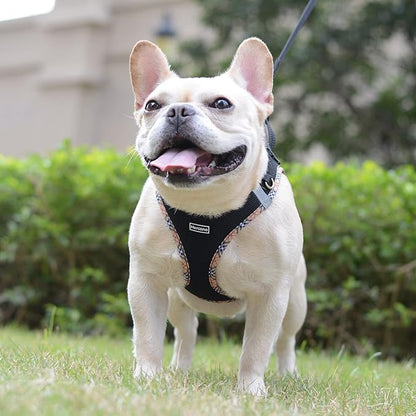 Mercano Soft Mesh Dog Harness and Leash Set, No-Chock Step-in Reflective Breathable Lightweight Easy Walk Escape Proof Vest Harnesses with Safety Buckle for Small Medium Dogs, Cats (Black Yellow, XXS) PAWPICO