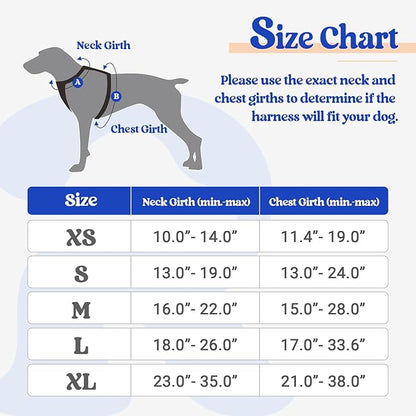 rabbitgoo Dog Harness No Pull with 2 Leash Clips, Adjustable Soft Padded, Reflective Oxford No Choke Pet Vest with Easy Control Handle for Puppy, Blue & Orange, XS rabbitgoo
