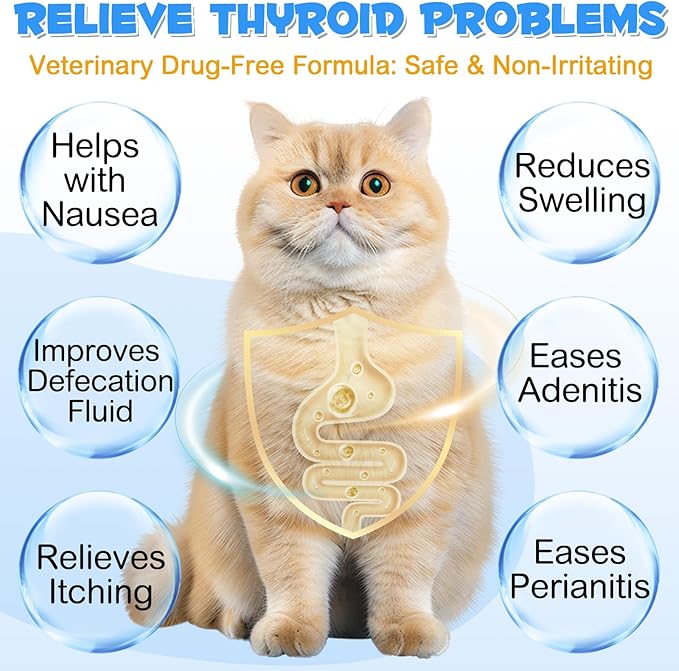 Anal Gland Support Powder for Cats, Anal Gland Supplement Powder with Pumpkin and Probiotics Supports Cats Anal Gland Health, Pet Supplement Anal Gland Support Powder Treatment for Cats - 120g PAWPICO