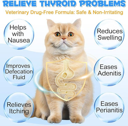 Anal Gland Support Powder for Cats, Anal Gland Supplement Powder with Pumpkin and Probiotics Supports Cats Anal Gland Health, Pet Supplement Anal Gland Support Powder Treatment for Cats - 120g PAWPICO