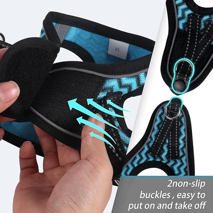 Dog Harness for Small Dogs, Small Dog Harness and Leash Set, Honeycomb Grid, Reflective Lightweight Harness & Anti-Twist Pet Lead,Dog Harness(Multi Color, Size: XS-S-M) (M, Blue) PAWPICO