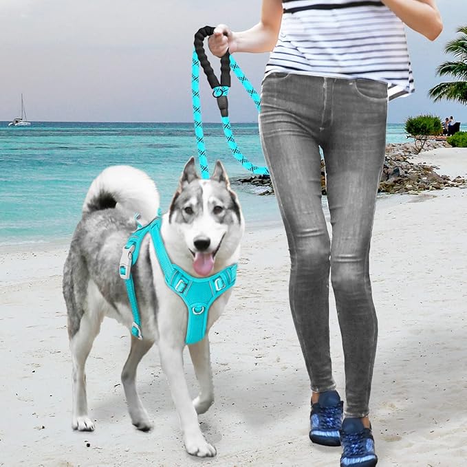 BARKBAY No Pull Dog Harness Large Reflective Dog Harness with Front Clip and Easy Control Handle for Walking Training Running with ID tag Pocket(Ocean Blue,XL) BARKBAY
