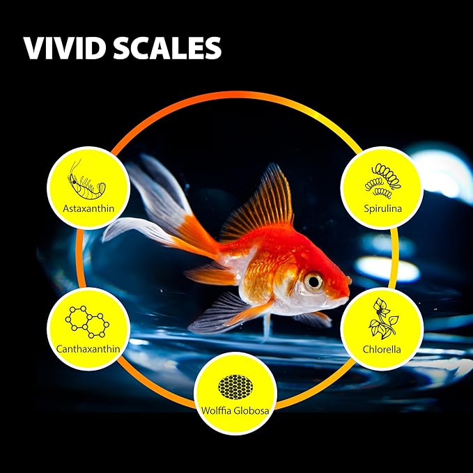 Purify Series for Goldfish Food, Sinking Gold Fish Pellets, All Natural Ingredients, Balanced Composition of Fish Food, Good for Fins Grow and Color Saturation, 3.53 oz (Pack of 2) GOODPARTNERFishFoodPurifySeries