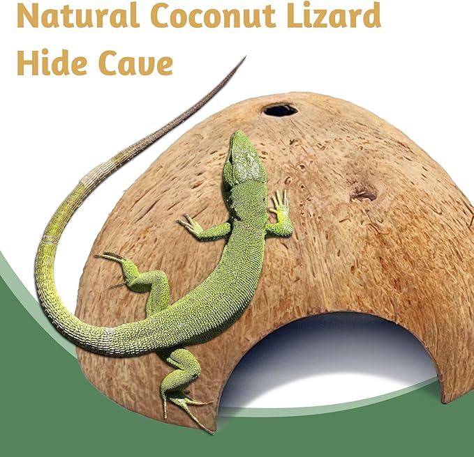 PINVNBY 4 PCS Natural Coconut Reptile Hideouts Lizard Coco Hut Hermit Crab Hut Aquarium Fish Hide Cave Spider Snail Climber Toys PINVNBY