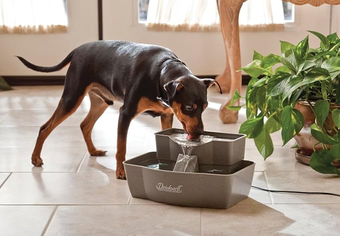 PetSafe Multi-Tier Pet Fountain – Large Waterer Great for Cats and Dogs – 2 Heights to Drink from – Great for Senior Pets – 100 Oz Water Capacity – Fresh, Filtered Water - PAWPICO