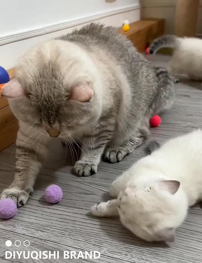 Cat Toys, 15 Pieces Set, Includes Kitten Toys, Like Plush Balls and a Mechanical Chick, Bell Balls, and Soft Toys for Indoor Cats to Play and Stay Active, Safe Materials for Hours of Fun - PAWPICO