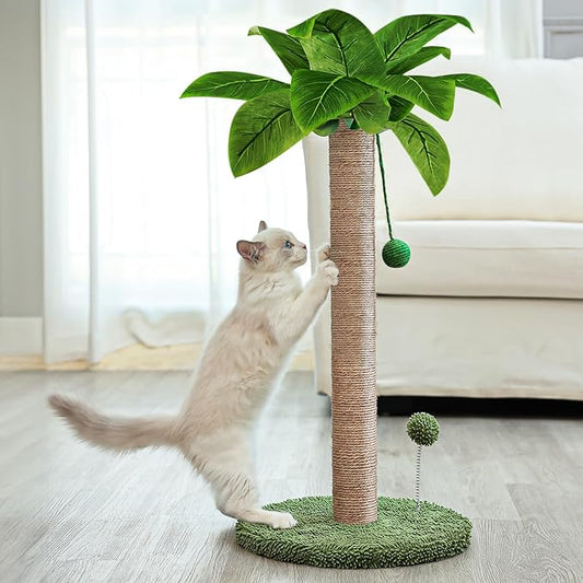 Dohump Cat Scratching Post, 26" Kitten Scratching Post with Premium Sisal Rope, Cute Cat Tree with Dangling and Spring Ball Toys for Indoor Small Cats - PAWPICO