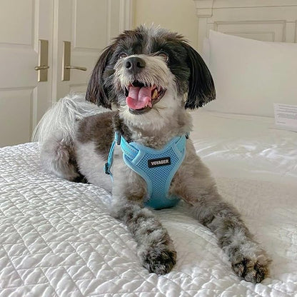 Best Pet Supplies Voyager Adjustable Dog Vest Harness Breathable No Pull Harness for Small, Medium, Large Dogs, Harness for Walking, Jogging, Easy Step-In, Reflective Stripes - (Baby Blue), L BestPetSuppliesLLC