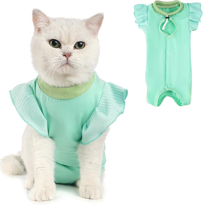 Avont Cat Recovery Suit - Post-Surgery Onesie for Cats, Alternative to Cone of Shame, Protective Spay Suit for Female Kitten, Ideal for Healing and Skin Conditions -Mintgreen(L) Avont