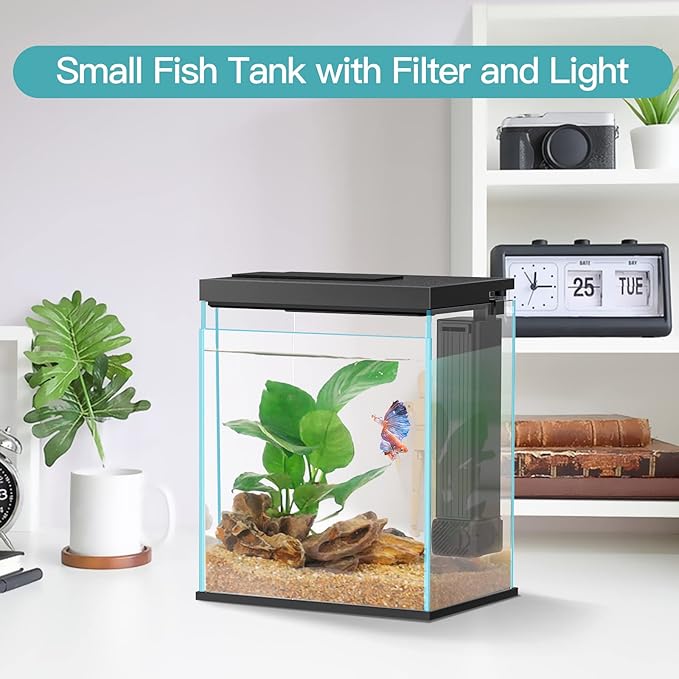 Betta Fish Tank, 2 Gallon Glass Aquarium Starter Kit, Small Fish Tank with Filter and Light.(Black) Pronetcus