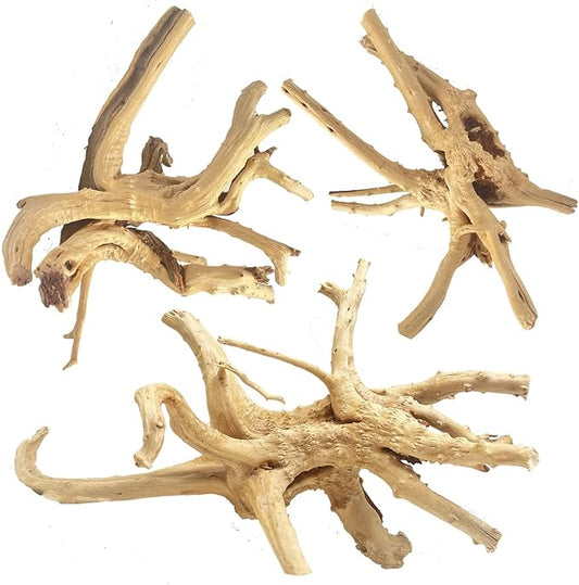 Natural Large Spiderwood Driftwood for Aquarium Decor Rptile Fish Tank Decoration Assort Branch 7-11'' 3 Pcs Jorewood
