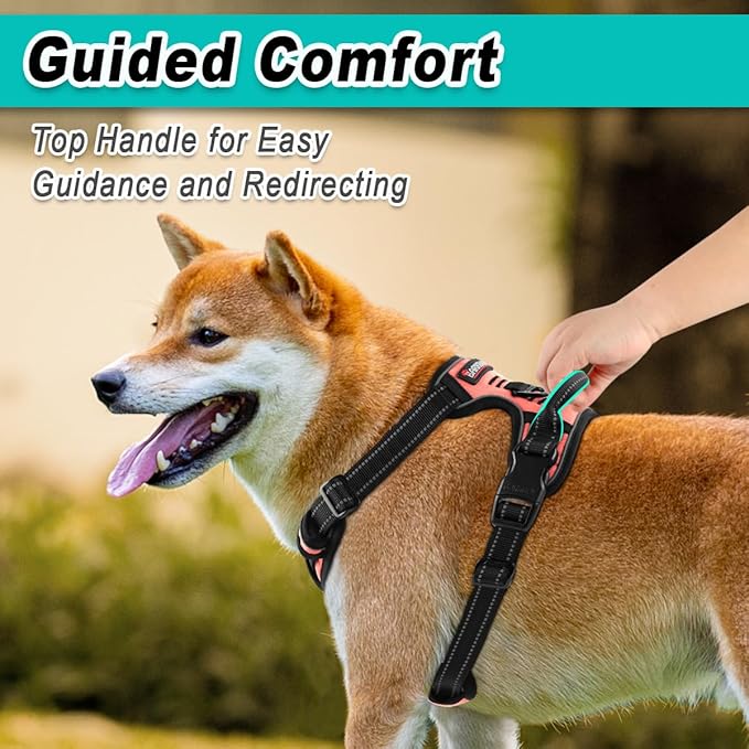 BARKBAY Dog Harness No Pull for Medium Dogs - Adjustable, Reflective, Comfortable, No Choke, Heavy-Duty - Perfect for Outdoor Training, Walking, and Hiking - Strong & Durable - M & Light Pink BARKBAY