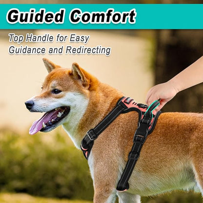 BARKBAY Dog Harness No Pull for Small Dogs - Adjustable, Reflective, Comfortable, No Choke, Heavy-Duty - Perfect for Outdoor Training, Walking, and Hiking - Strong & Durable - S & Light Pink BARKBAY