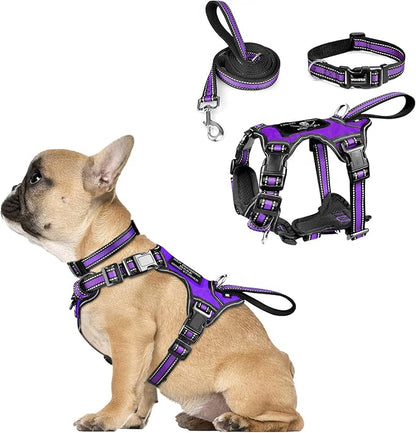 WINSEE Pet Harness Collar and Leash Set, All-in-one Reflective Dog Harness No Pull with Adjustable Buckles for Puppies, Small, Medium, Large, and Extra-Large Dogs (Small, Purple) WINSEE