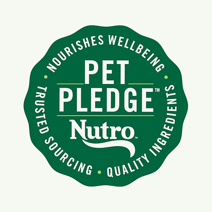 NUTRO NATURAL CHOICE Small Bites Adult Dry Dog Food, Lamb & Brown Rice Recipe Dog Kibble, 5 lb. Bag - PAWPICO