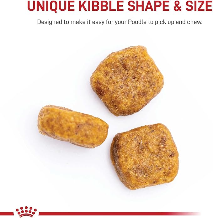 Royal Canin Poodle Adult Breed Specific Dry Dog Food, 2.5 lb bag - PAWPICO