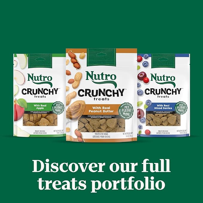 Nutro Crunchy Dog Treats With Real Peanut Butter, 16 oz. Bag - PAWPICO