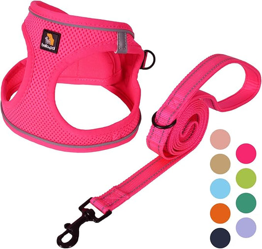 BELLA & PAL Puppy Harness with Leash Set, Dog Harness for Small Dogs No Pull, Dog Leash for Small Dogs, Step in Harness for Extra Small Dogs, Hot Pink Harness, S BELLAPAL