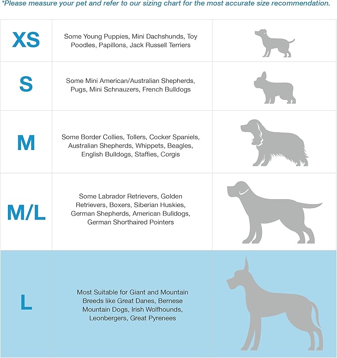 Blue-9 Buckle-Neck Balance Harness, Fully Customizable Fit No-Pull Harness, Ideal for Dog Training and Obedience, Made in The USA, Sky Blue, Large Blue-9