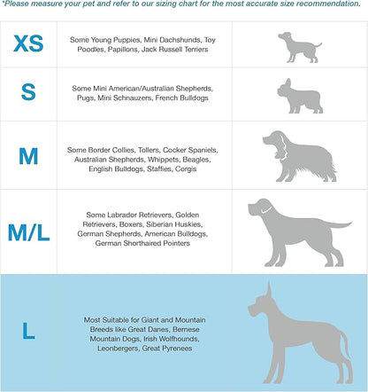 Blue-9 Buckle-Neck Balance Harness, Fully Customizable Fit No-Pull Harness, Ideal for Dog Training and Obedience, Made in The USA, Hunter Green, Large Blue-9