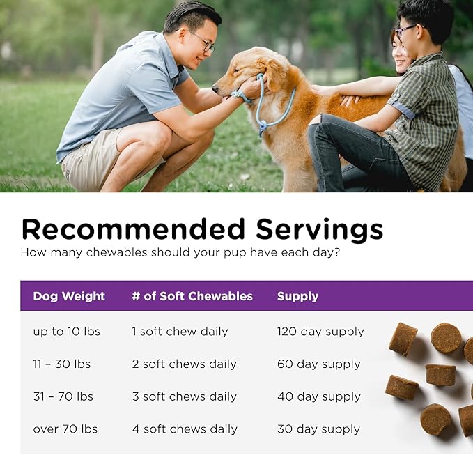 Nutri-Vet Pre and Probiotic Soft Chews for Dogs | Digestive Health Support | Tasty Alternative to Probiotic Powder | 120 Soft Chews Nutri-Vet