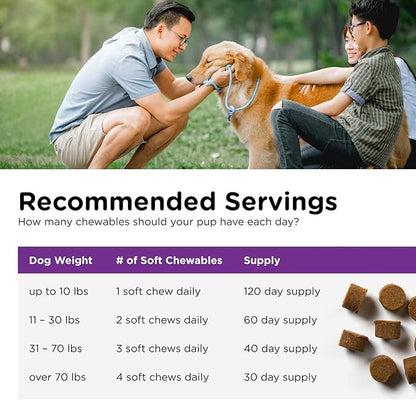 Nutri-Vet Pre and Probiotic Soft Chews for Dogs | Digestive Health Support | Tasty Alternative to Probiotic Powder | 120 Soft Chews Nutri-Vet