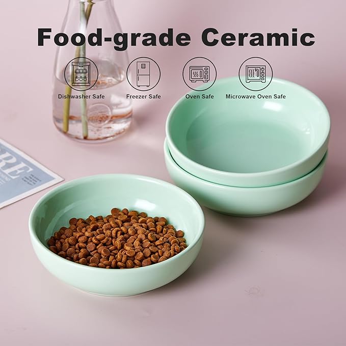 Howise 5.3 in Ceramic Cat Bowls Set, Shallow Cat Food Bowl Small Pet Bowls Cat Dish for Food and Water, Green - PAWPICO