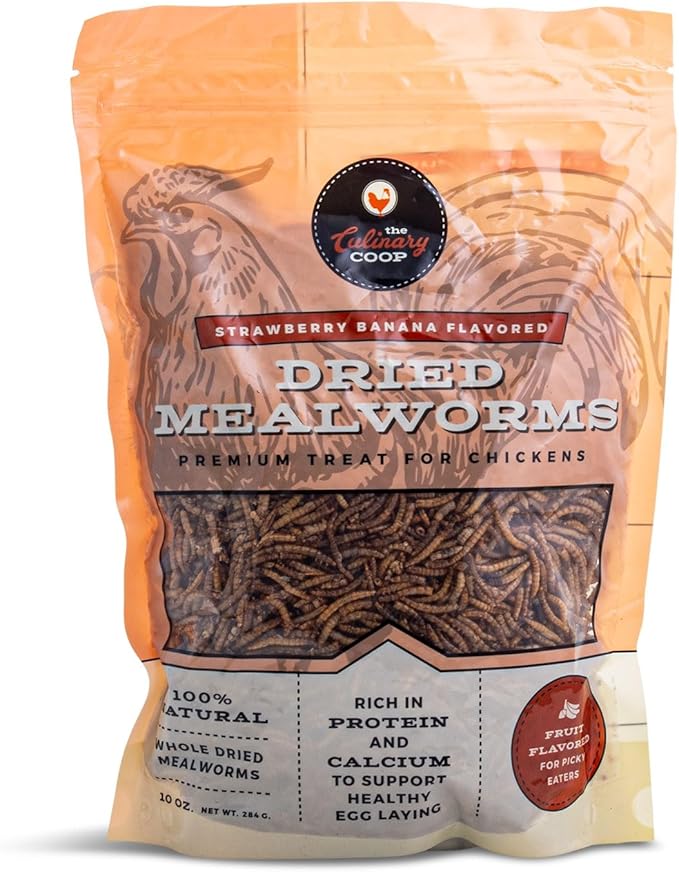 Fluker's Culinary Coop Strawberry Banana Dried Mealworm Treat for Chickens, 10 oz Flukers