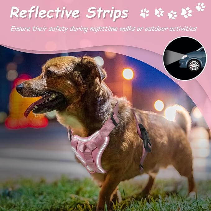 AUROTH Dog Harness Small Sized Dog, Small No Pull Dog Harness, Dog Harness for Small Dogs, Harness Small Size Dog Vest Harness with Handle, Pink S AurothPets