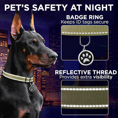 TECEUM Reflective Pet Collar – Olive – XL – Basic Nylon Dog Collar – Quick Release Buckle – Fits Small, Medium and Large Dogs, Puppies, Cats – ESA & Service Dog Options TECEUM
