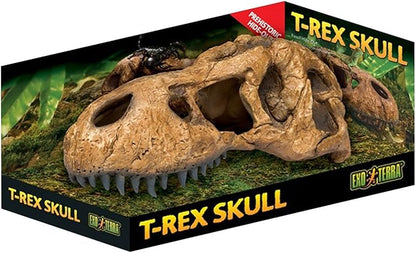 Exo Terra T-Rex Skull Terrarium Decor ExoTerra