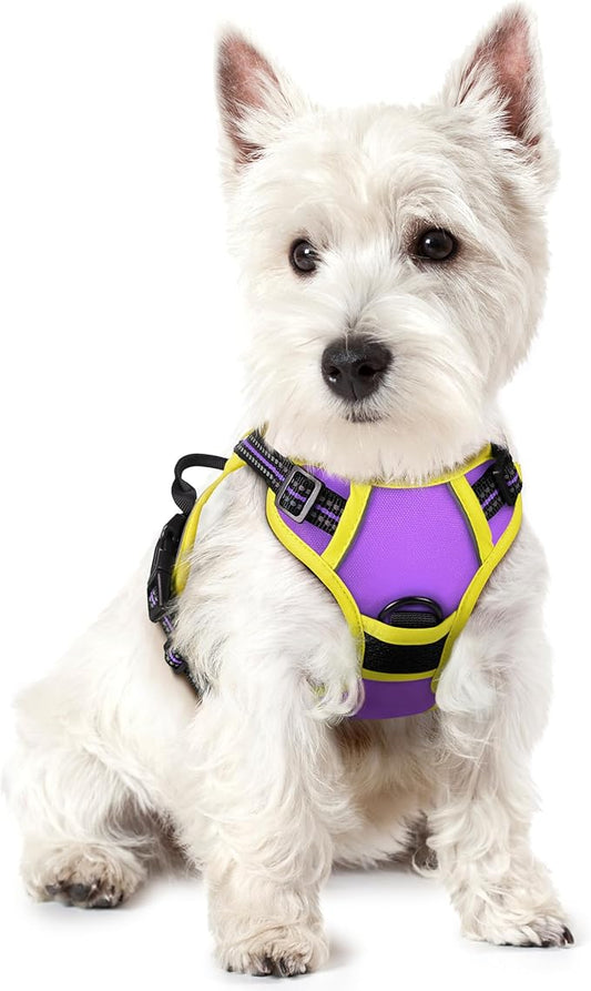 rabbitgoo Dog Harness No Pull with 2 Leash Clips, Adjustable Soft Padded, Reflective Oxford No Choke Pet Vest with Easy Control Handle for Puppy, Purple & Yellow, XS rabbitgoo