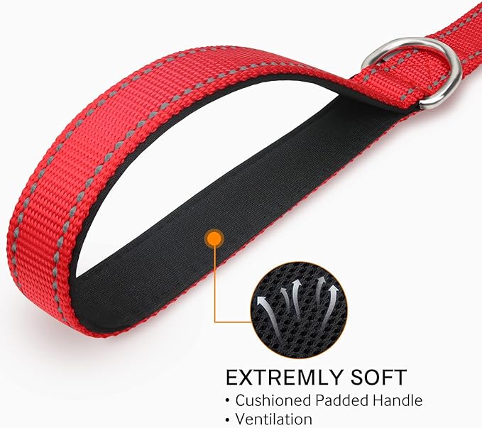 Joytale Double-Sided Reflective Dog Leash, 6 FT/5 FT/4 FT, Padded Handle Nylon Heavy Duty Leashes for Medium & Large Dogs Walking, Red, 5FT Joytale