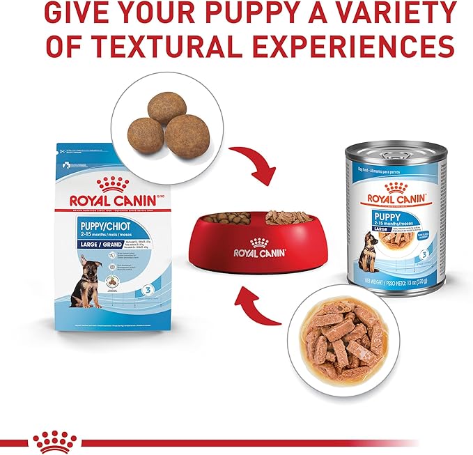 Royal Canin Size Health Nutrition Dry Large Breed Puppy Food, Supports Brain Development, Immune Support and Digestive Health, 30 lb Bag - PAWPICO