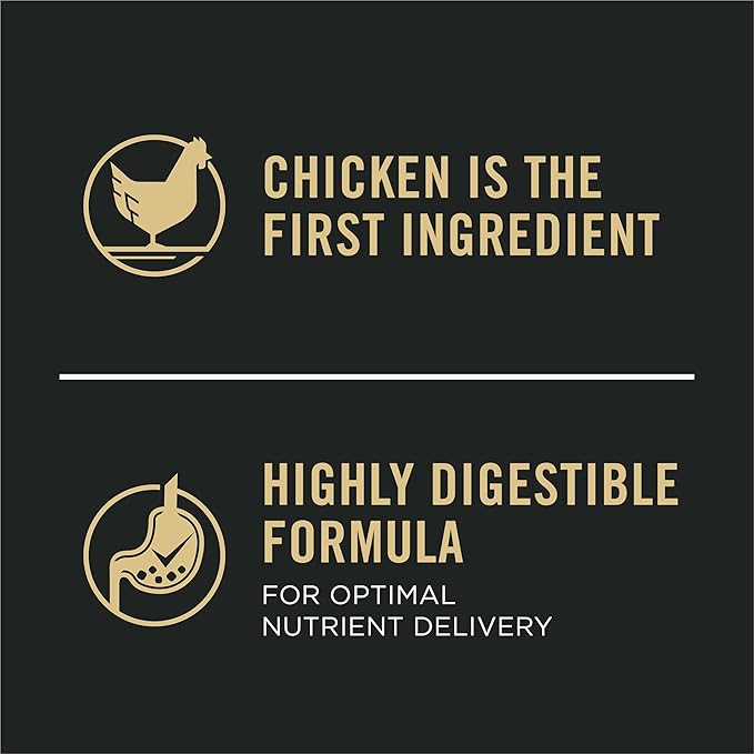 Purina Pro Plan Small Breed Senior Dog Food Bright Mind Seven Plus Chicken and Rice Formula - 16 lb. Bag - PAWPICO