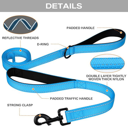 Joytale Dog Leash Heavy Duty for Large Dogs That Pull, Double Handle for Traffic Control, Double-Sided Reflective Leashes for Large Medium Dogs Night Safety, 4FT, Aqua Blue Joytale