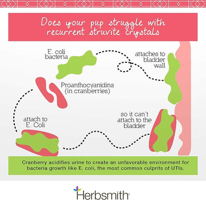 Herbsmith Bladder Care for Cats and Dogs – Maintains Urinary Health for Dogs and Cats – Dog and Cat Kidney Support – 150g Powder Herbsmith